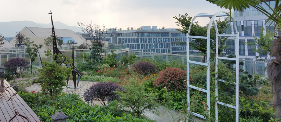 南京萬(wàn)通城市建設(shè)設(shè)計(jì)院弱電系統(tǒng)項(xiàng)目案例。